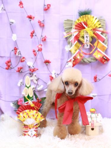 20230120リールちゃん